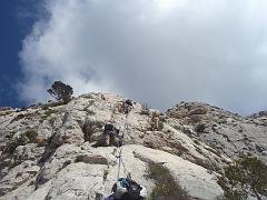 Moussaillon (18)